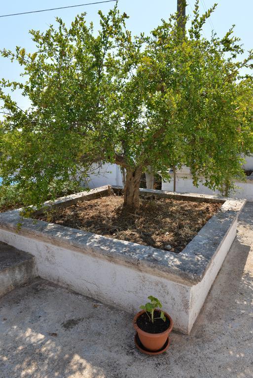 Masseria Gravinella Фазано Екстериор снимка