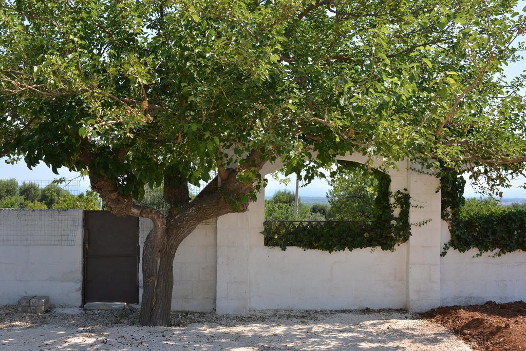 Masseria Gravinella Фазано Екстериор снимка